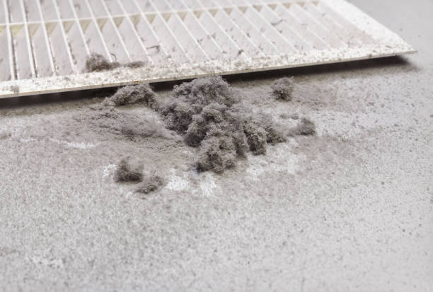 HVAC Maintenance and Cleaning in LA
